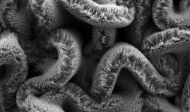 行业新闻：可拉伸的超等电容器，，，，，，，为柔性可衣着装备铺路